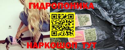 гидра Кингисепп