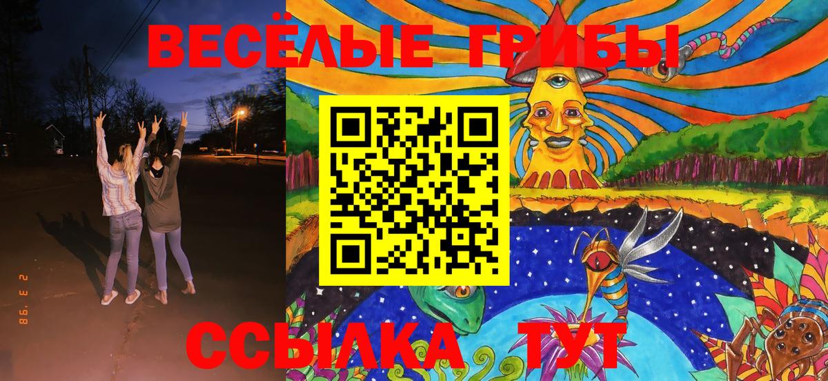 Псилоцибиновые грибы ЛСД Краснознаменск