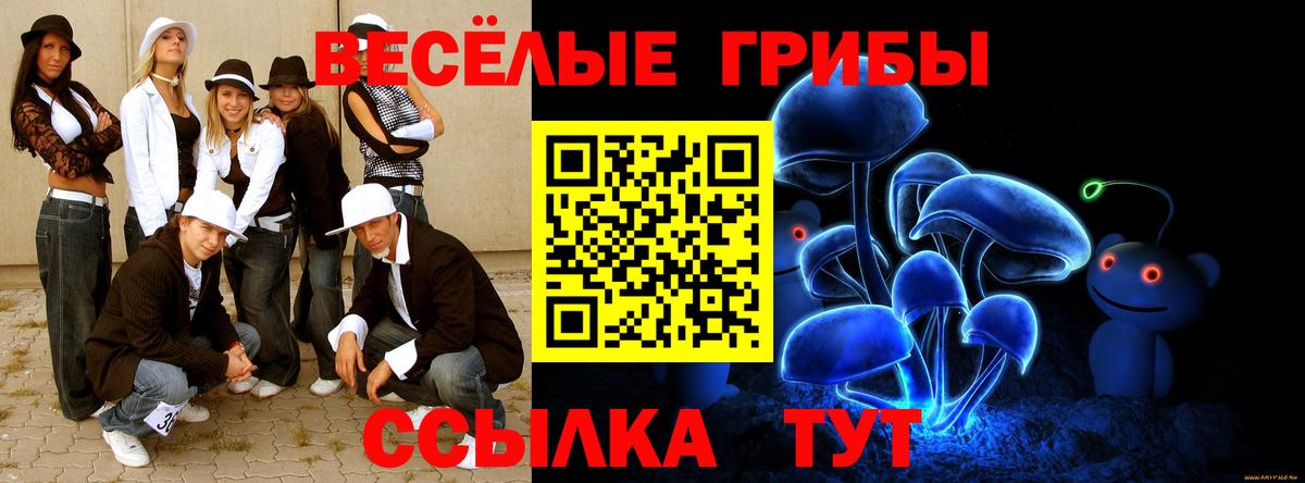 Краснознаменск  Галлюциногенные грибы GOLDEN TEACHER  наркошоп  Вход с VPN 