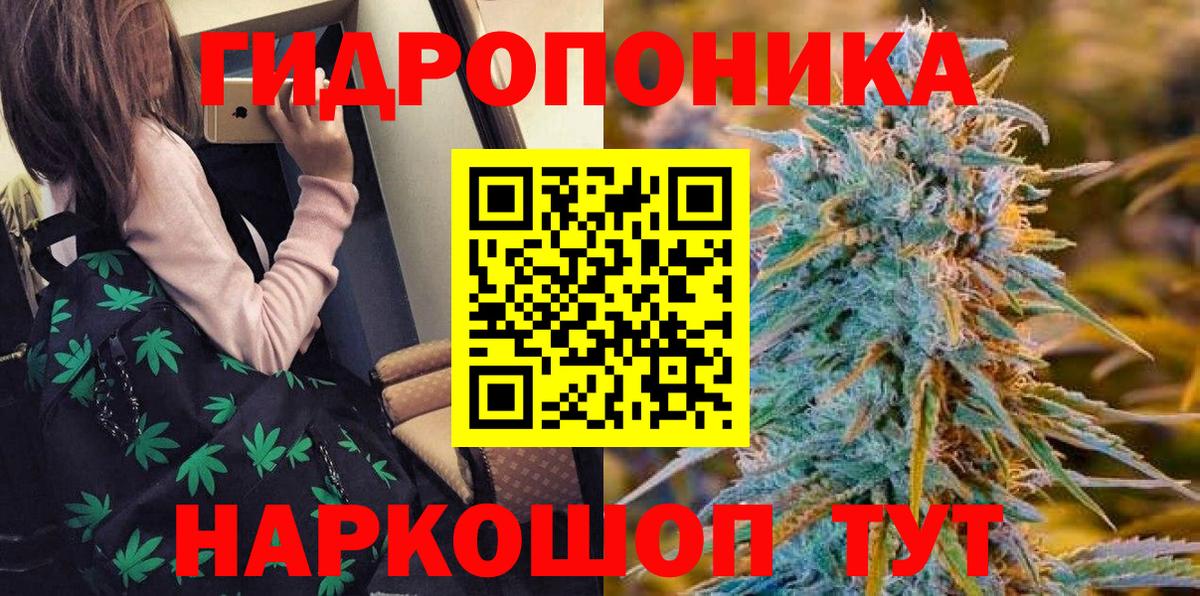 Бошки марихуана MAZAR  Вход с VPN  Краснознаменск  Марихуана сатива  Канабис марихуана 